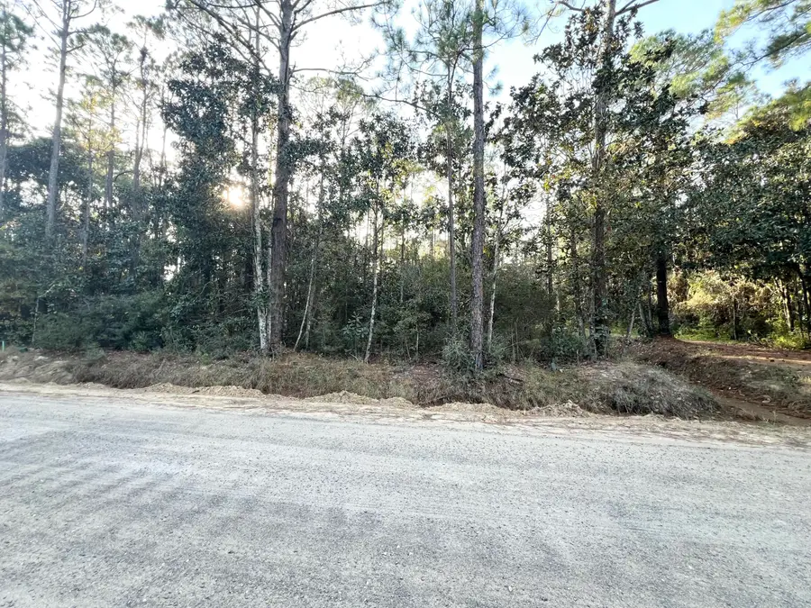 Lots 1,2,3 N 13th Street, Santa Rosa Beach, FL 32459 - Image #2