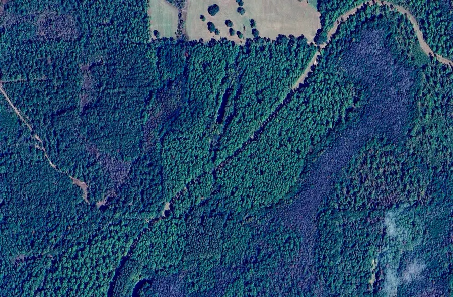 5 Canopy Oaks Blvd, Bonifay, FL 32425 - Image #2