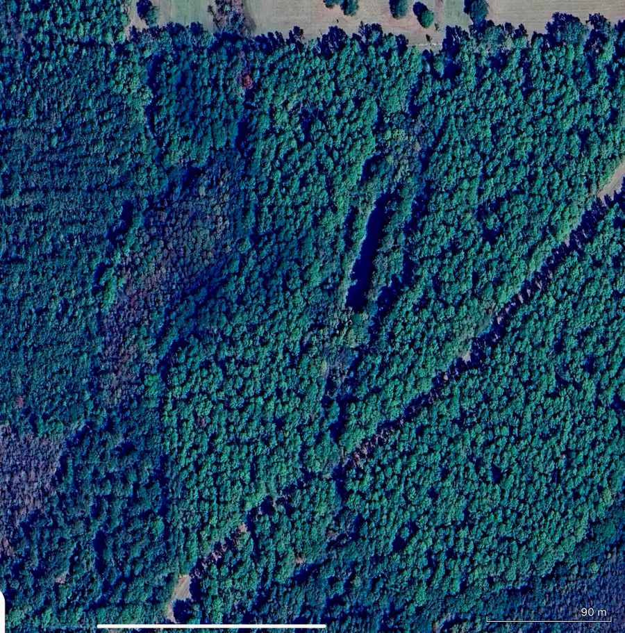 5 Canopy Oaks Blvd, Bonifay, FL 32425 - Image #3