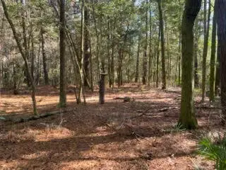 Parcel A Sunburst Drive, Crestview, FL 32539 - Image #3