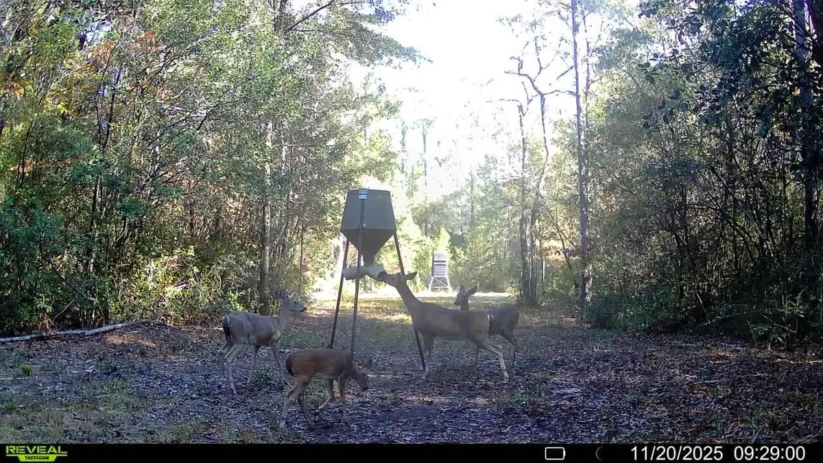 Parcel A&B Sunburst Drive, Crestview, FL 32539 - Image #1