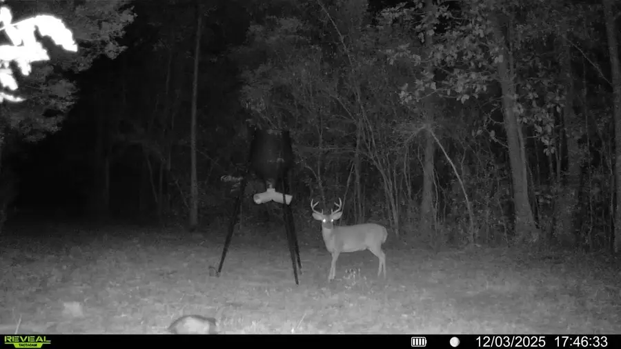 Parcel A&B Sunburst Drive, Crestview, FL 32539 - Image #2