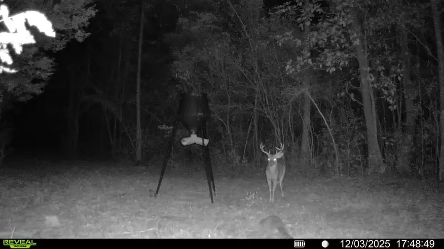 Parcel A&B Sunburst Drive, Crestview, FL 32539 - Image #3