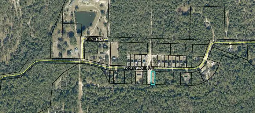 Lot 1 Blk Lake Silver Road, Crestview, FL 32536 - Image #2