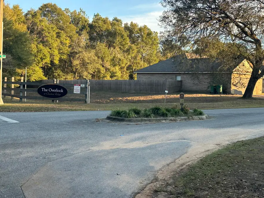 TBD E Chestnut Avenue, Crestview, FL 32539 - Image #2