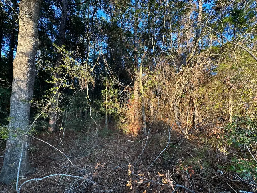 TBD E Chestnut Avenue, Crestview, FL 32539 - Image #3