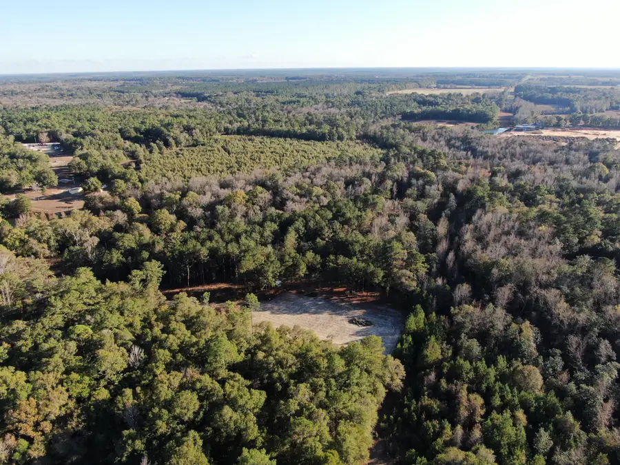 205 Varnum, Paxton, FL 32538 - Image #2