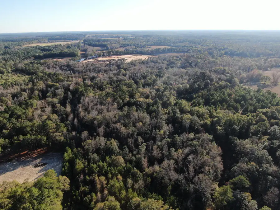 205 Varnum, Paxton, FL 32538 - Image #3