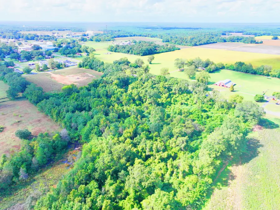 Lots 2 & 3 Hwy 4 & Beck Avenue, Jay, FL 32565 - Image #2