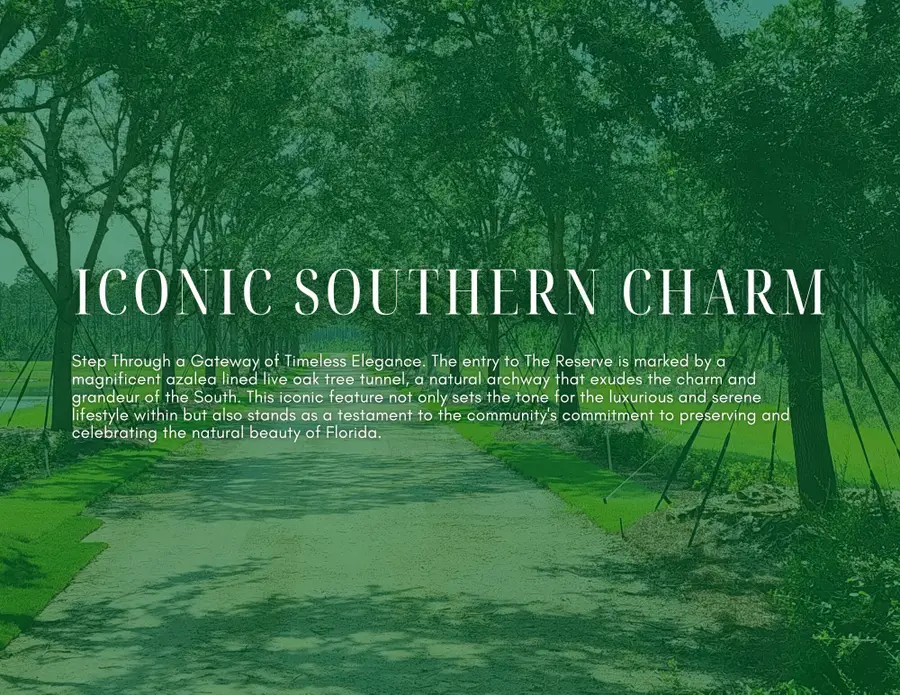 Lot 14 Reserve At Hammock Bay, Freeport, FL 32439 - Image #2