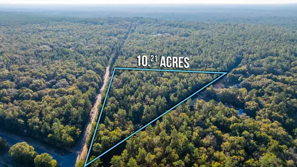 10+ AC Broxson Road, Holt, FL 32564