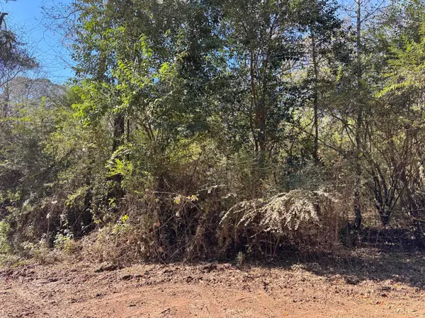 0 Gibson Street, Elba, AL 36323