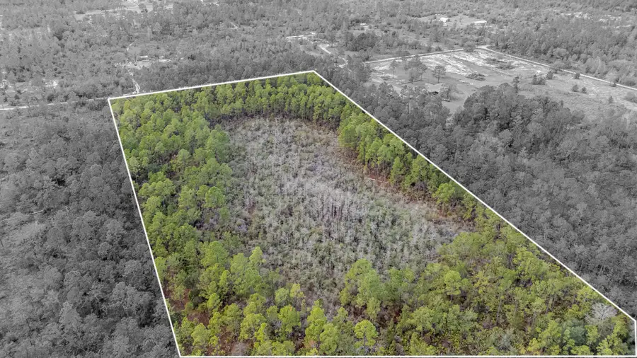 3-1N-11W Baker Rd, Altha, FL 00N/A - #3