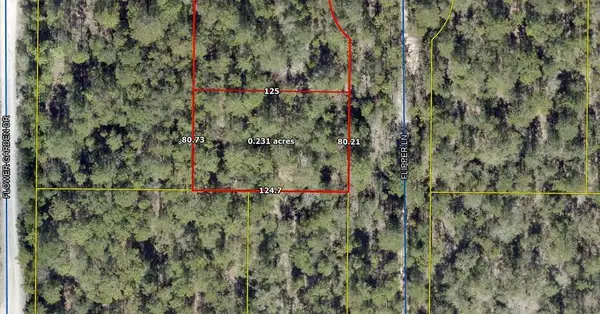 Lot 15 Flipper Lane, DeFuniak Springs, FL 32433