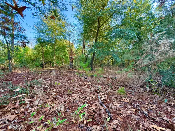 Lot 6 Blk 14 E Tiger Lily Lane, DeFuniak Springs, FL 32433