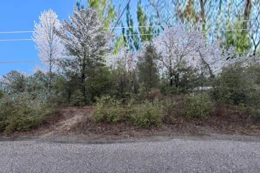 Lot 6 Blk 14 E Tiger Lily Lane, Defuniak Springs, FL 32433 - Image #3