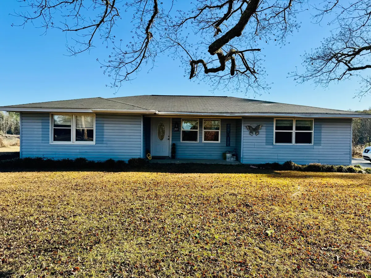 203 Riverview Drive, Elba, AL 36323 - Image #1