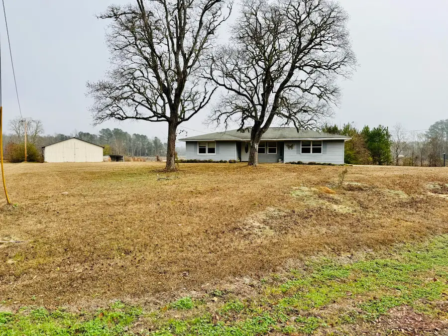 203 Riverview Drive, Elba, AL 36323 - Image #2