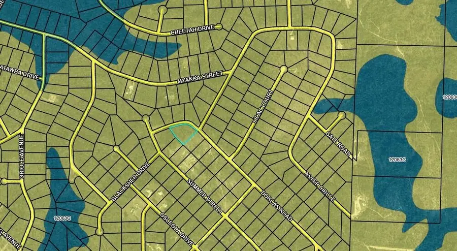 Lot 17 Dorcas Road, Marianna, FL 32448 - Image #3