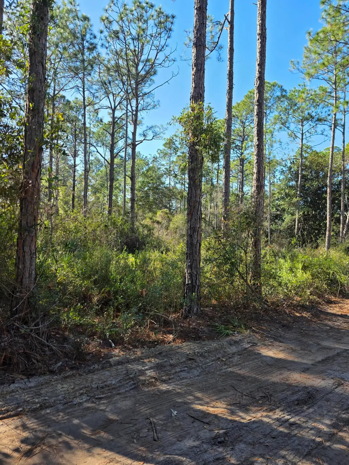 Lot 25 Quail Park, Santa Rosa Beach, FL 32459 - Image #1