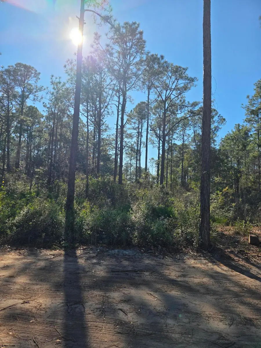 Lot 25 Quail Park, Santa Rosa Beach, FL 32459 - Image #2