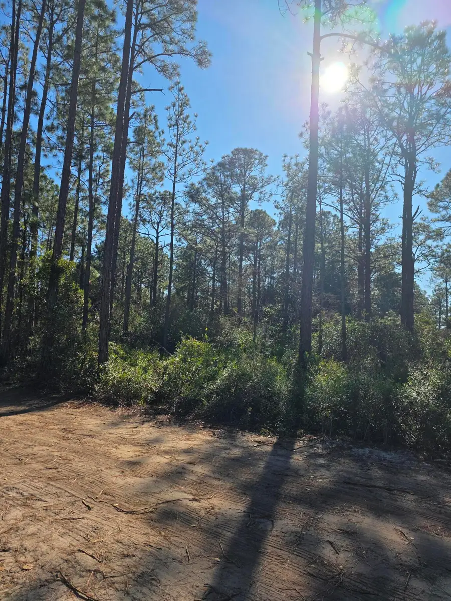 Lot 25 Quail Park, Santa Rosa Beach, FL 32459 - Image #3