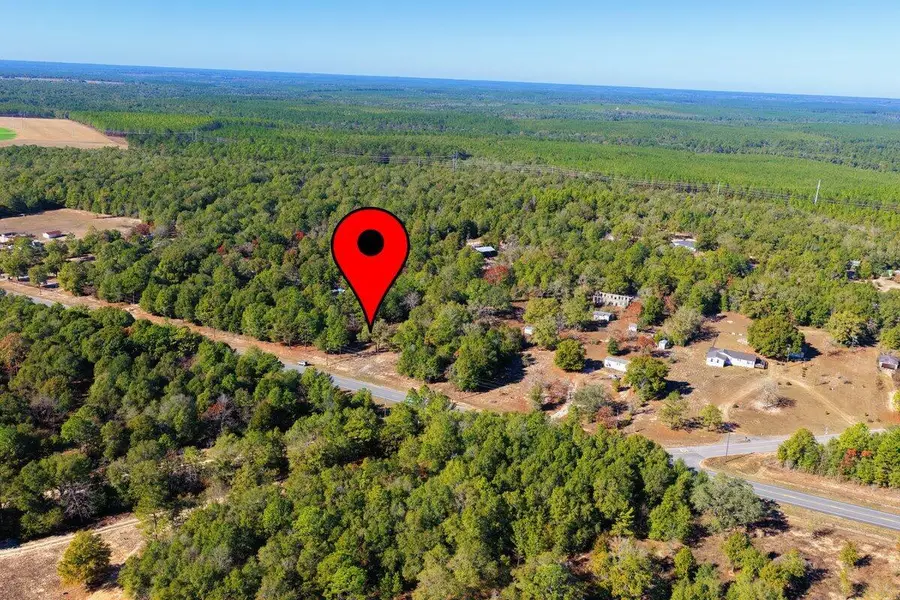 5731 Co Highway 1087, Defuniak Springs, FL 32433 - Image #3