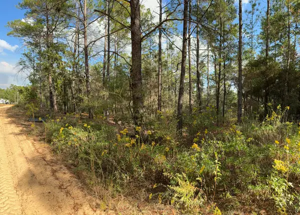 Lot 29 Cleawater Drive, DeFuniak Springs, FL 32433