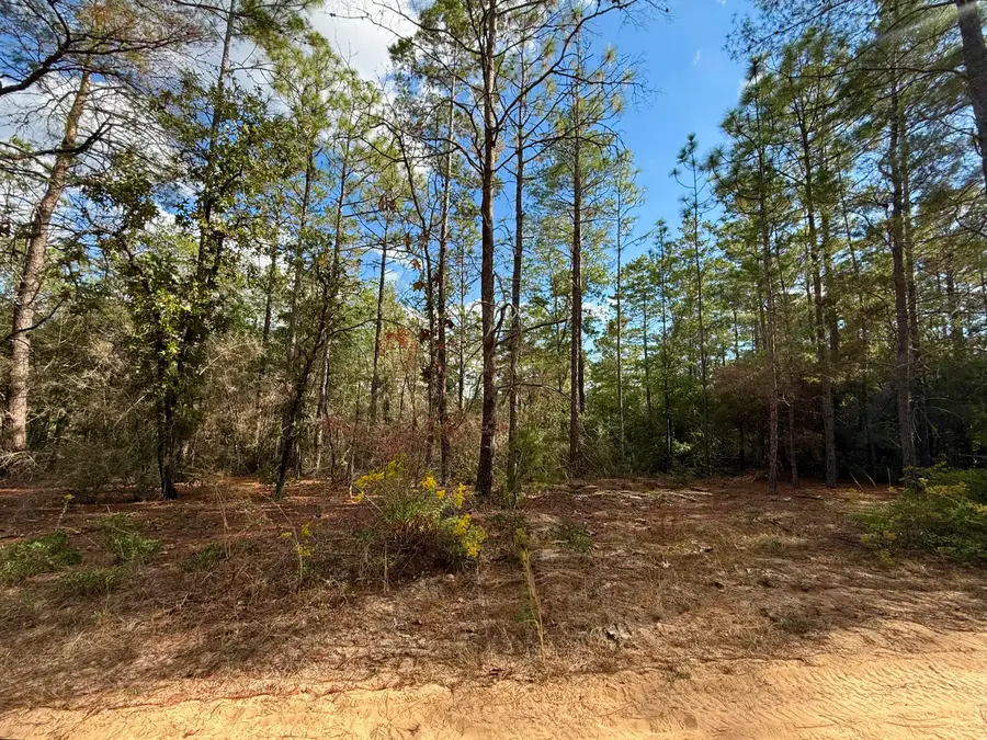 Lot 29 Clearwater Drive, Freeport, FL 32439 - Image #2