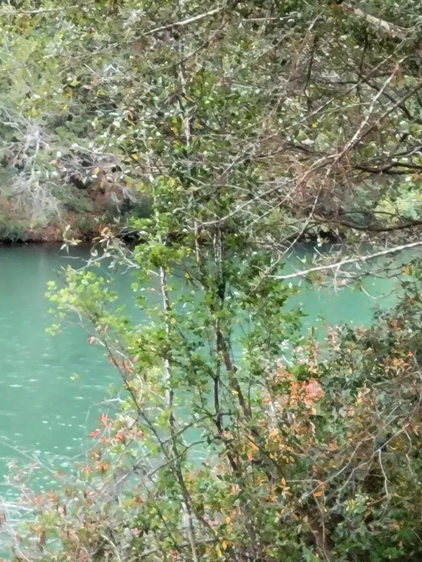 118 Tranquility Drive, Crestview, FL 32536