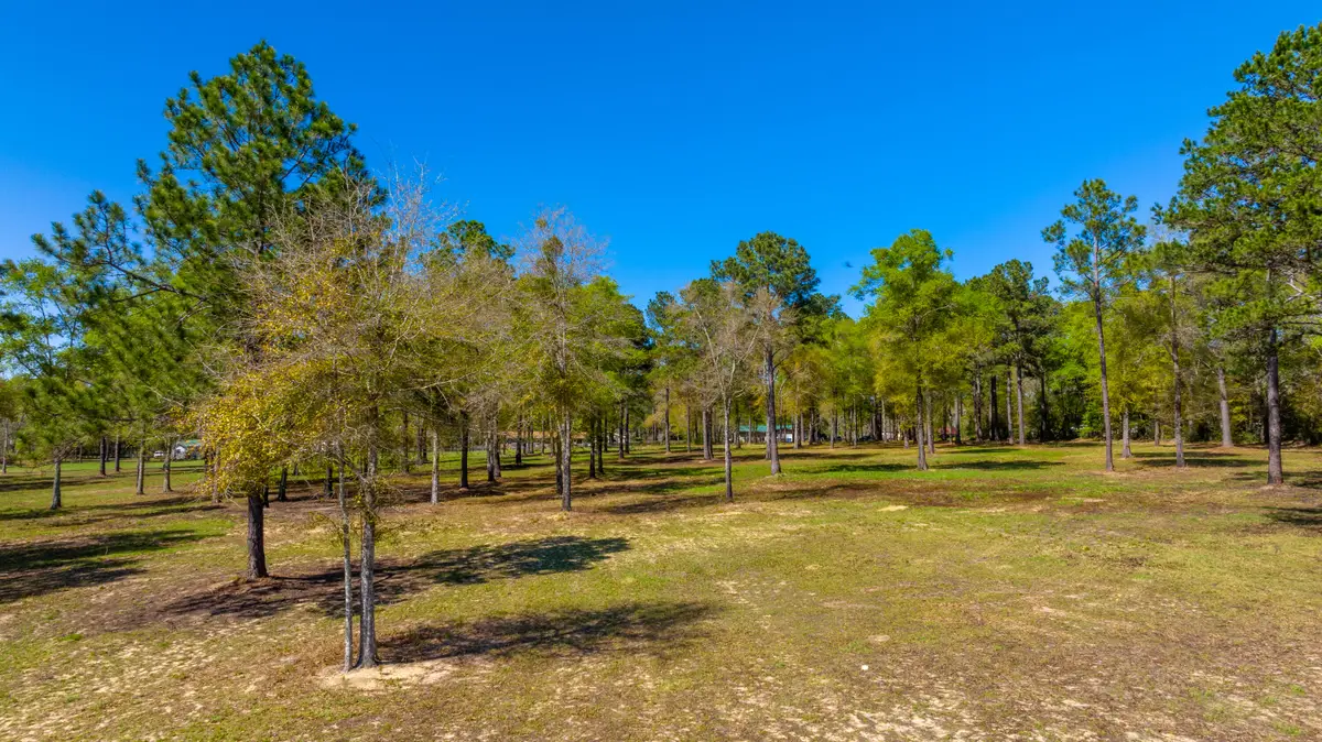 20 Acres Cannon Drive, Paxton, FL 32538 - Image #1