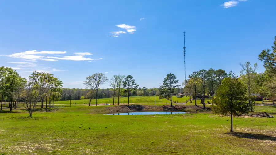 20 Acres Cannon Drive, Paxton, FL 32538 - Image #2