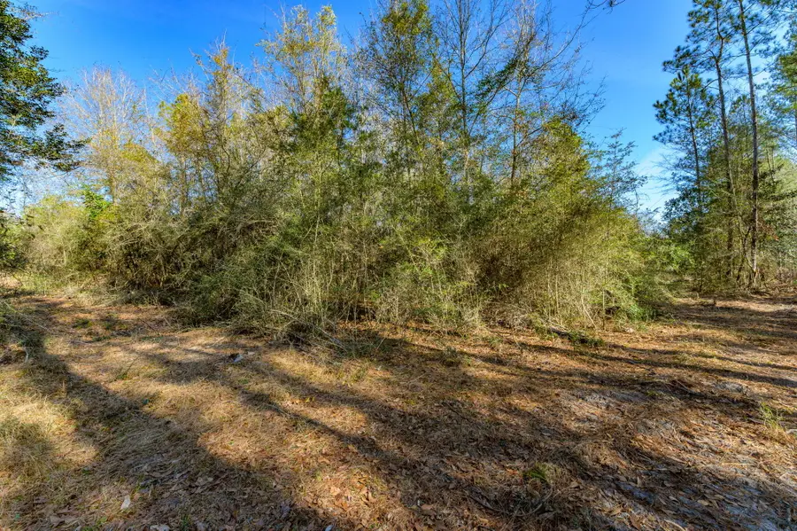 13567 Cotton Rd, Andalusia, AL 36420 - Image #3