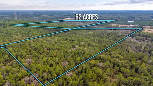 60 Acres Maes Lane, DeFuniak Springs, FL 32433