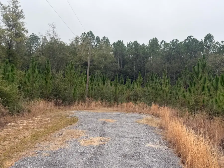5190 S A Jones Road, Milton, FL 32583 - #3