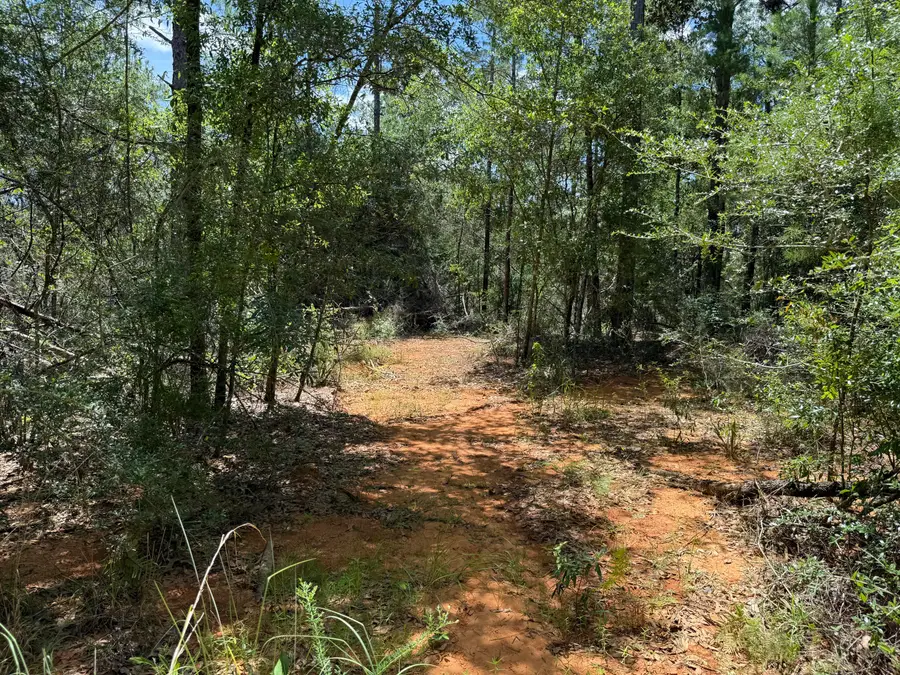 Lot 38 Blk 68 On Clearwater Drive, Defuniak Springs, FL 32433 - Image #2