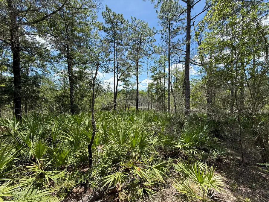 Lot 39 Blk 68 On Clearwater, Defuniak Springs, FL 32433 - Image #2