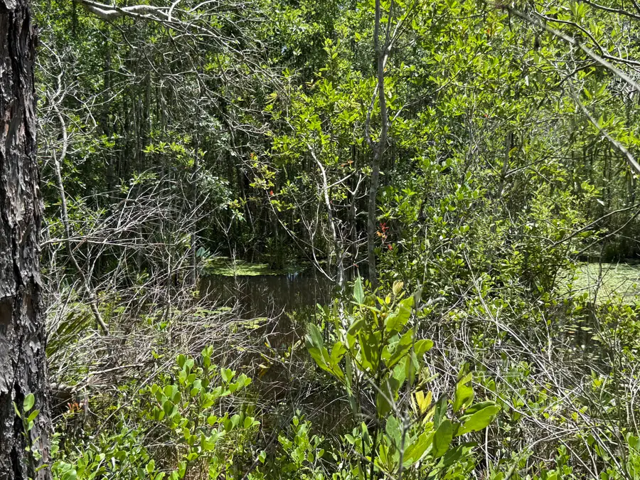 Lot 39 Blk 68 On Clearwater, Defuniak Springs, FL 32433 - Image #3