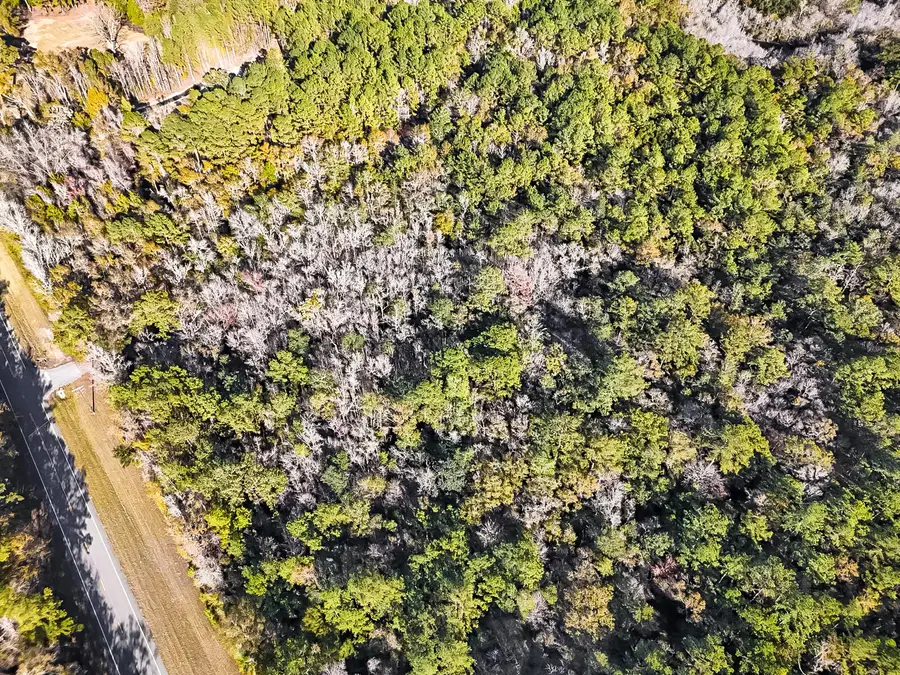 Lot 50 State Highway 81, Ponce De Leon, FL 32455 - Image #2