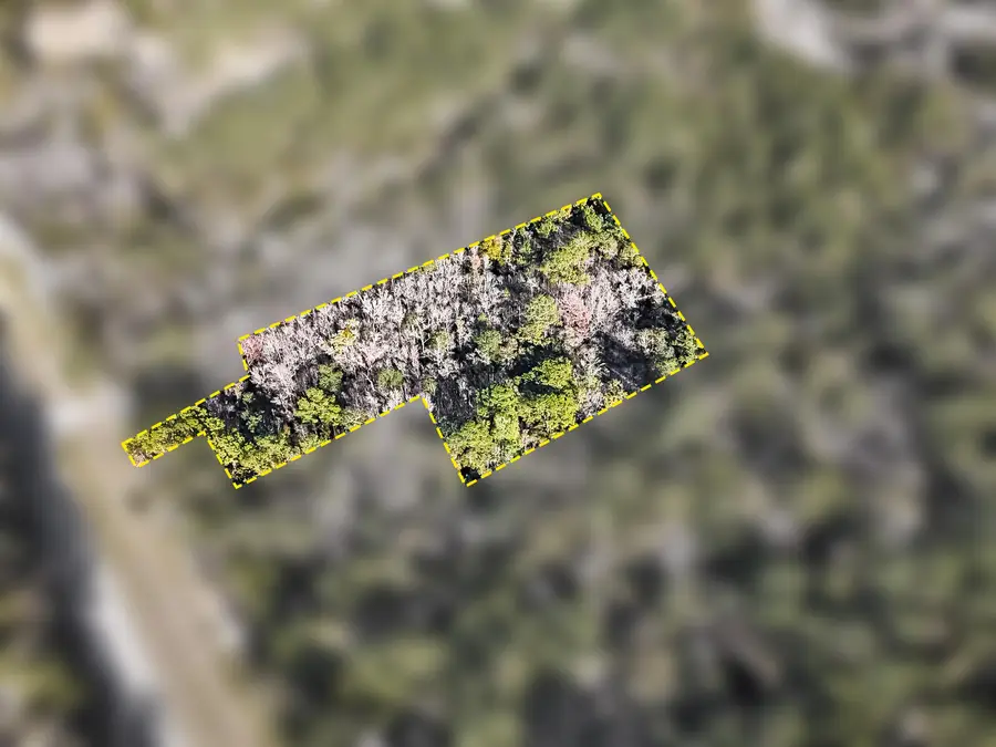 Lot 50 State Highway 81, Ponce De Leon, FL 32455 - Image #3