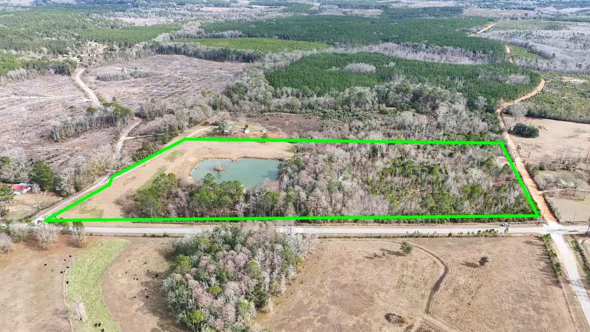 18.57 Acre Icie Pine Rd Road, Westville, FL 32464 - Image #1