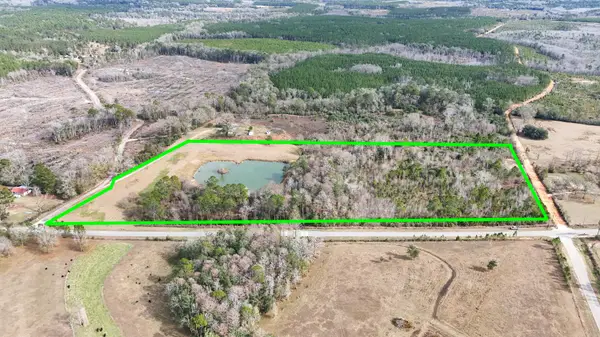 18.57 Acre Icie Pine Rd Road, Westville, FL 32464