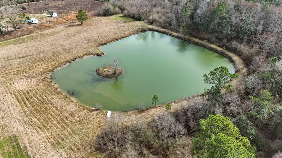 18.57 Acre Icie Pine Rd Road, Westville, FL 32464 - Image #3