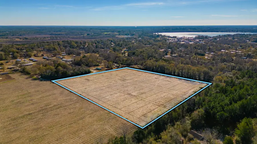 56 Lots 10th Street, Florala, AL 36442 - #3