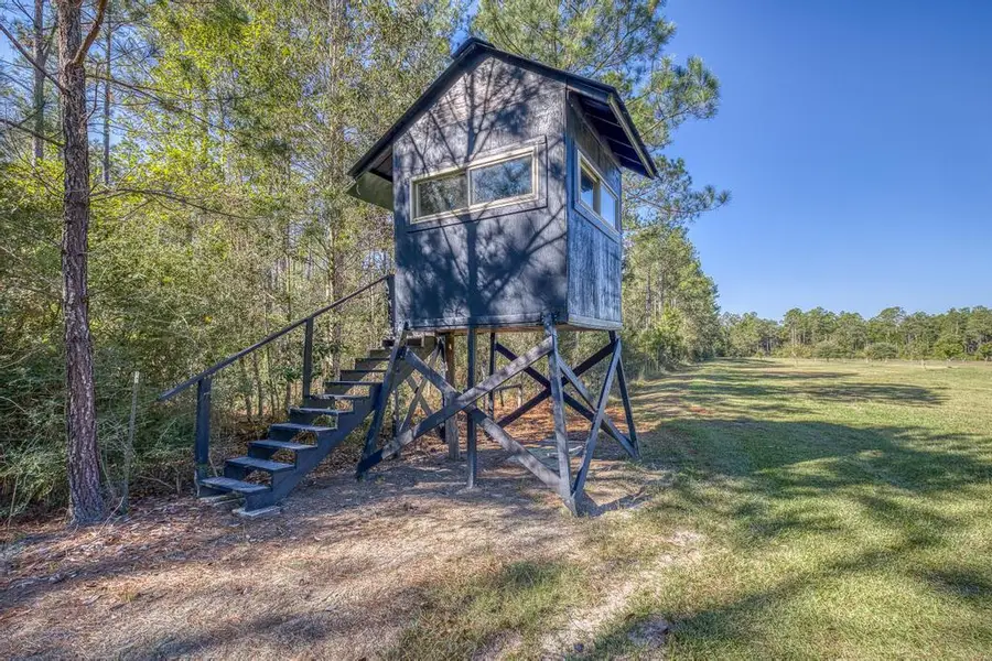 1650 Bear Bay Flats Rd Road, Laurel Hill, FL 32567 - #3