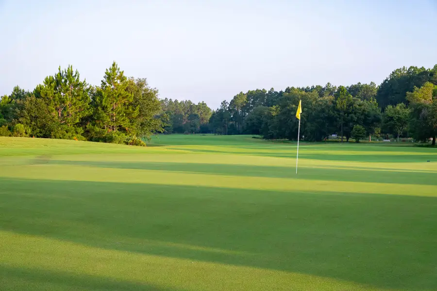 TBD E Elliot Way #Lot 60, Watersound, FL 32461 - Image #3