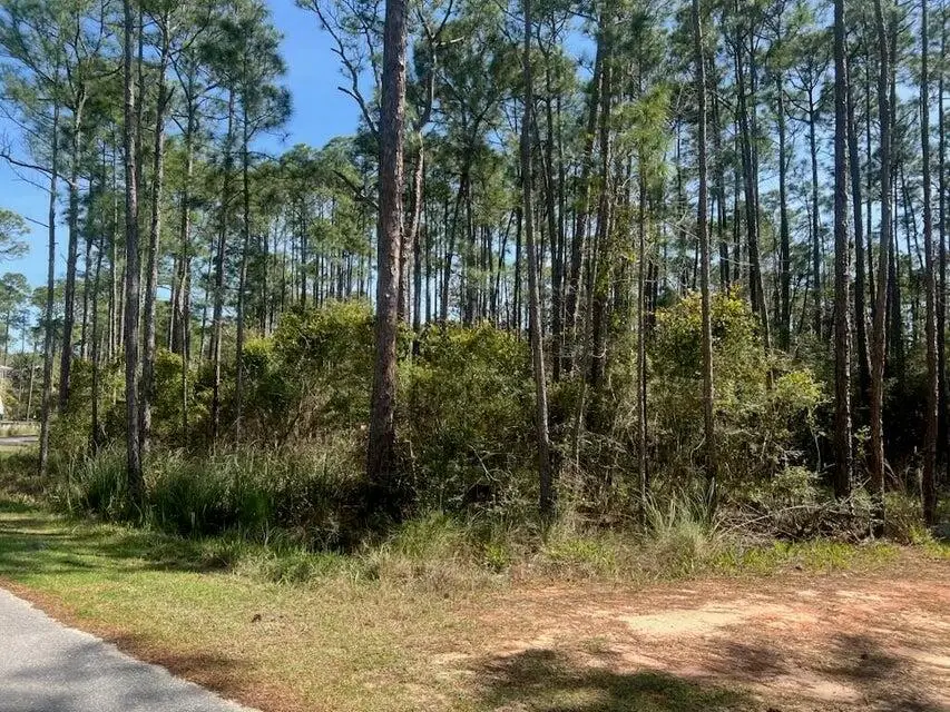 Lot 4 Whisper Lane, Santa Rosa Beach, FL 32459 - Image #2