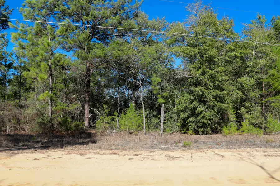 LOT 23 E Marigold East Avenue, Defuniak Springs, FL 32433 - Image #2