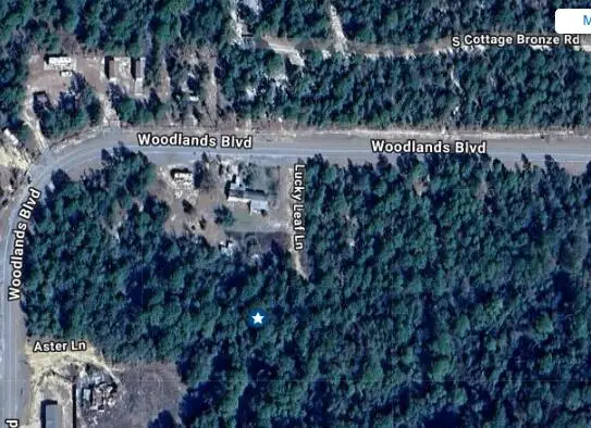 TBD Lucky Leaf Lane, Defuniak Springs, FL 32433 - Image #2