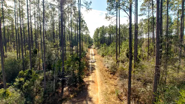 TBD Tpke Crk Drive, Freeport, FL 32439